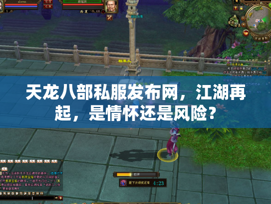 天龙八部私服发布网，江湖再起，是情怀还是风险？