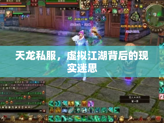 天龙私服，虚拟江湖背后的现实迷思