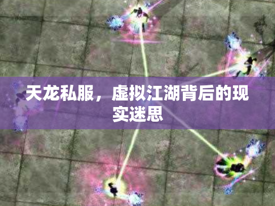 天龙私服，虚拟江湖背后的现实迷思