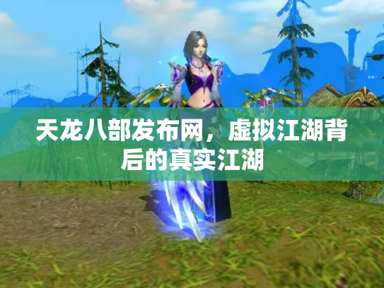 天龙八部发布网，虚拟江湖背后的真实江湖