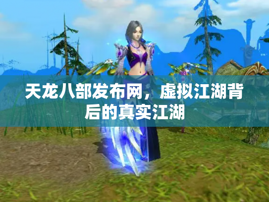 天龙八部发布网，虚拟江湖背后的真实江湖