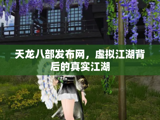 天龙八部发布网，虚拟江湖背后的真实江湖