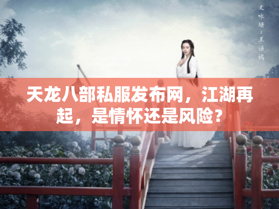 天龙八部私服发布网，江湖再起，是情怀还是风险？