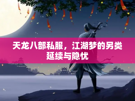 天龙八部私服，江湖梦的另类延续与隐忧