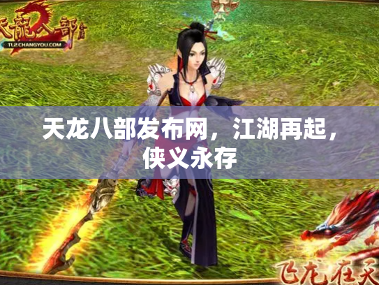 天龙八部发布网，江湖再起，侠义永存