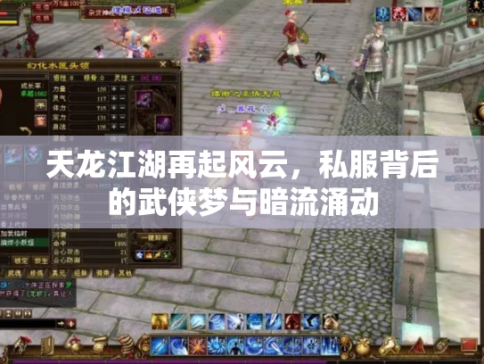 天龙江湖再起风云，私服背后的武侠梦与暗流涌动