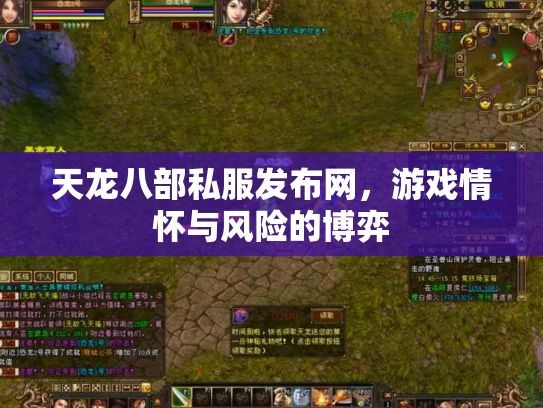 天龙八部私服发布网，游戏情怀与风险的博弈