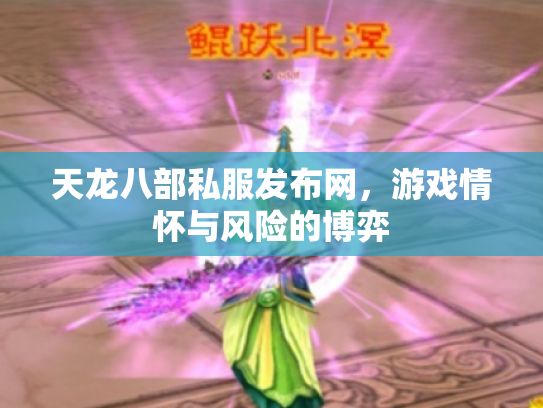 天龙八部私服发布网，游戏情怀与风险的博弈