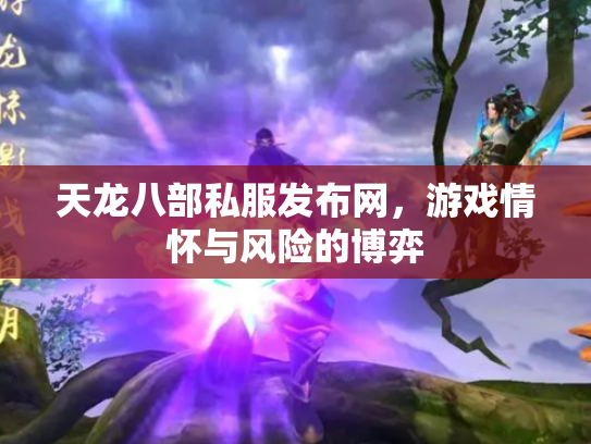 天龙八部私服发布网，游戏情怀与风险的博弈