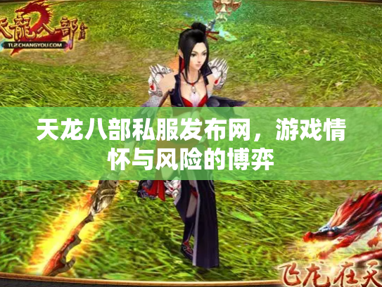 天龙八部私服发布网，游戏情怀与风险的博弈