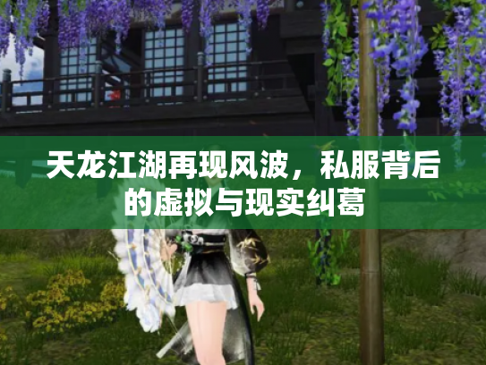 天龙江湖再现风波，私服背后的虚拟与现实纠葛