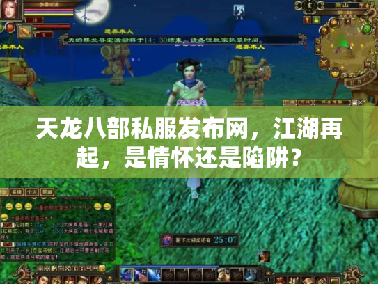 天龙八部私服发布网，江湖再起，是情怀还是陷阱？
