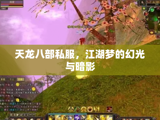 天龙八部私服，江湖梦的幻光与暗影