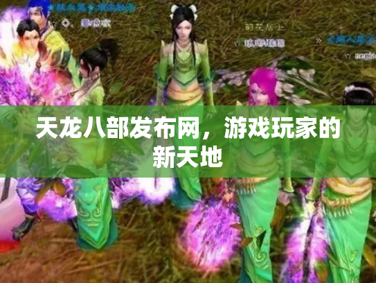 天龙八部发布网，游戏玩家的新天地