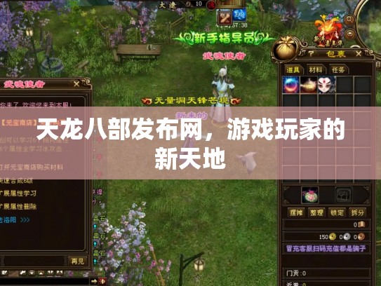 天龙八部发布网，游戏玩家的新天地