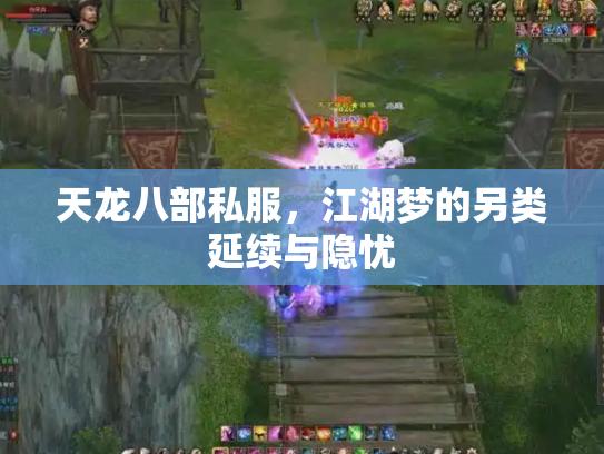 天龙八部私服，江湖梦的另类延续与隐忧