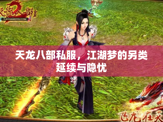 天龙八部私服，江湖梦的另类延续与隐忧