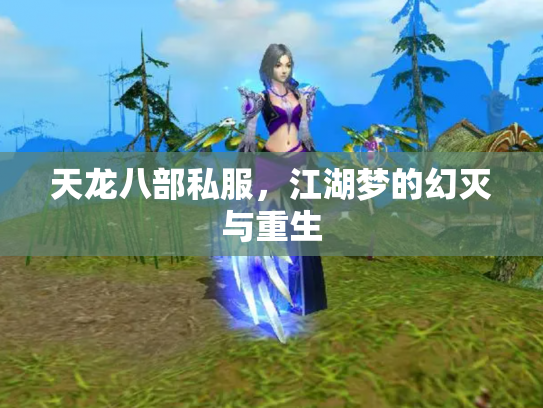 天龙八部私服，江湖梦的幻灭与重生