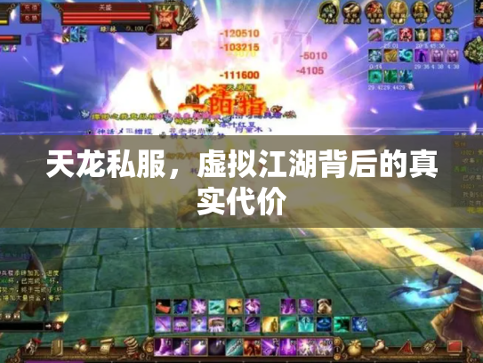 天龙私服，虚拟江湖背后的真实代价