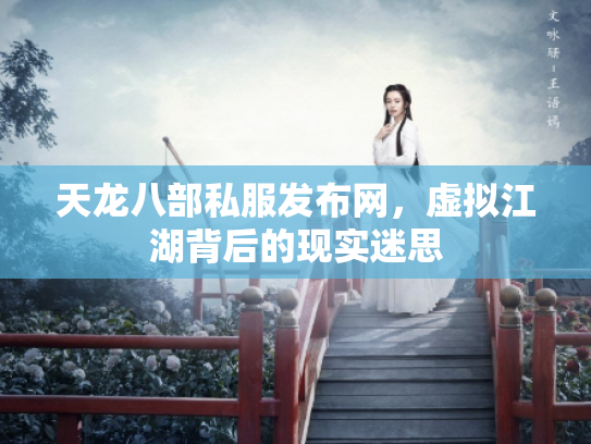 天龙八部私服发布网，虚拟江湖背后的现实迷思