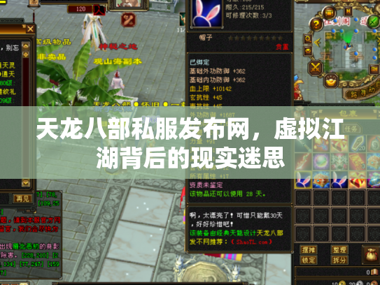 天龙八部私服发布网，虚拟江湖背后的现实迷思