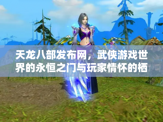 天龙八部发布网，武侠游戏世界的永恒之门与玩家情怀的栖息地