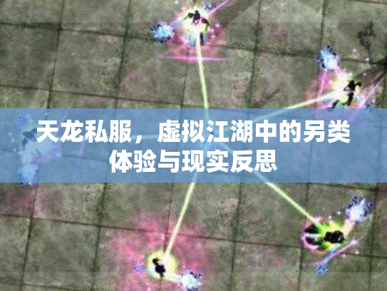天龙私服，虚拟江湖中的另类体验与现实反思