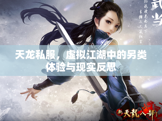 天龙私服，虚拟江湖中的另类体验与现实反思