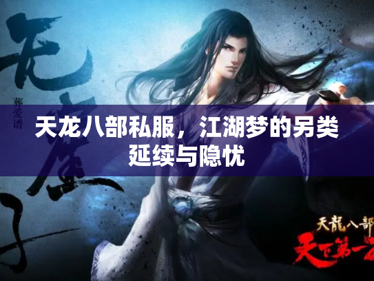 天龙八部私服，江湖梦的另类延续与隐忧