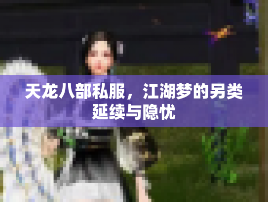 天龙八部私服，江湖梦的另类延续与隐忧