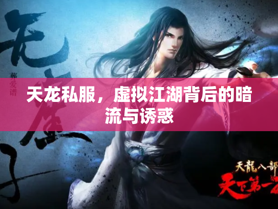 天龙私服，虚拟江湖背后的暗流与诱惑