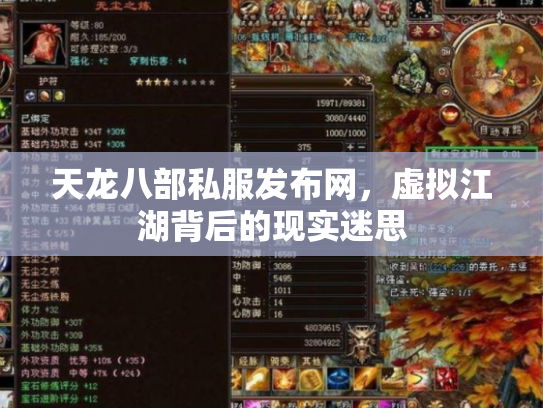 天龙八部私服发布网，虚拟江湖背后的现实迷思