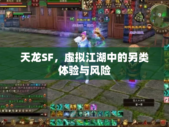 天龙SF，虚拟江湖中的另类体验与风险