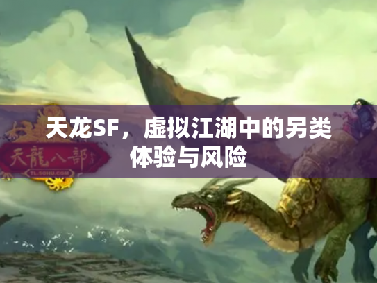 天龙SF，虚拟江湖中的另类体验与风险