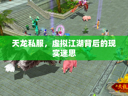 天龙私服，虚拟江湖背后的现实迷思