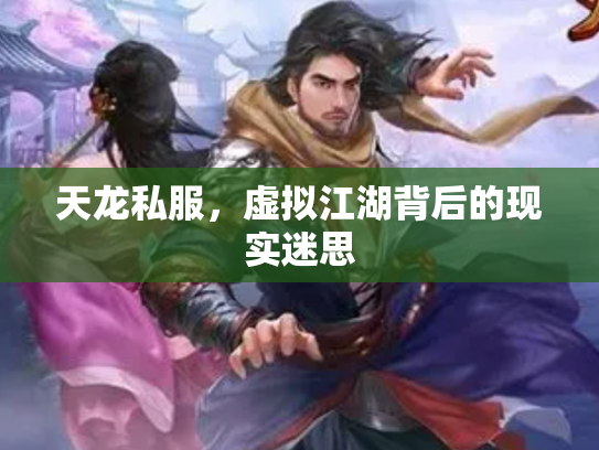 天龙私服，虚拟江湖背后的现实迷思