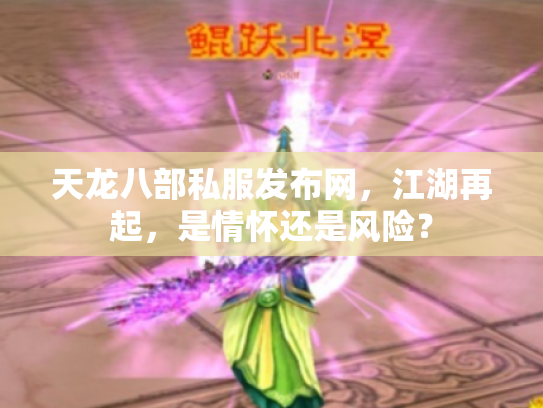 天龙八部私服发布网，江湖再起，是情怀还是风险？
