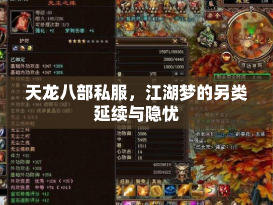 天龙八部私服，江湖梦的另类延续与隐忧
