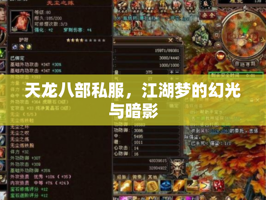 天龙八部私服，江湖梦的幻光与暗影