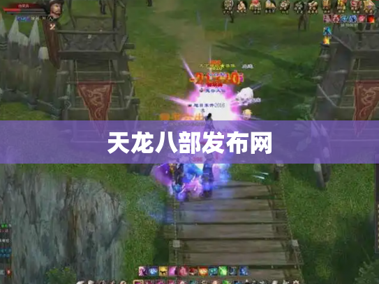 天龙八部发布网