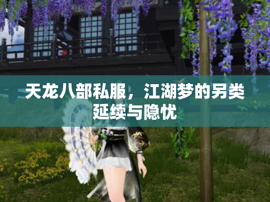 天龙八部私服，江湖梦的另类延续与隐忧
