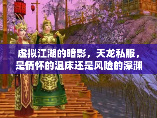 虚拟江湖的暗影，天龙私服，是情怀的温床还是风险的深渊？