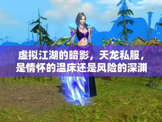 虚拟江湖的暗影，天龙私服，是情怀的温床还是风险的深渊？