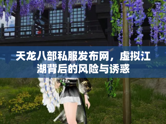 天龙八部私服发布网，虚拟江湖背后的风险与诱惑