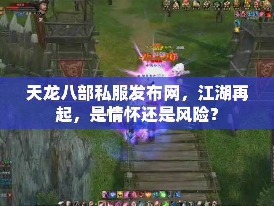 天龙八部私服发布网，江湖再起，是情怀还是风险？