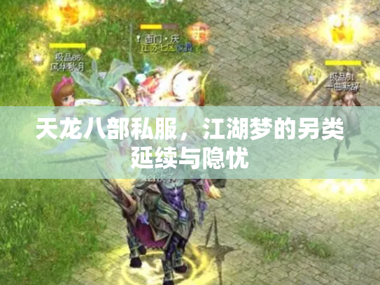 天龙八部私服，江湖梦的另类延续与隐忧