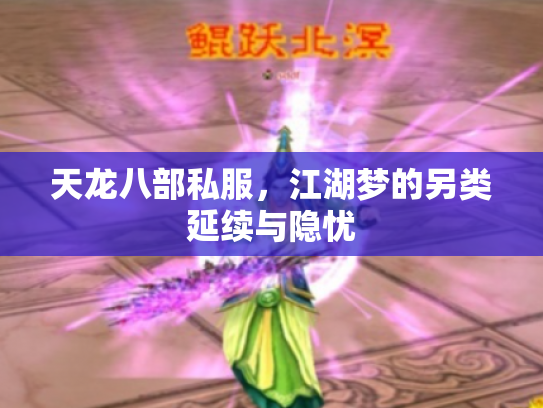 天龙八部私服，江湖梦的另类延续与隐忧