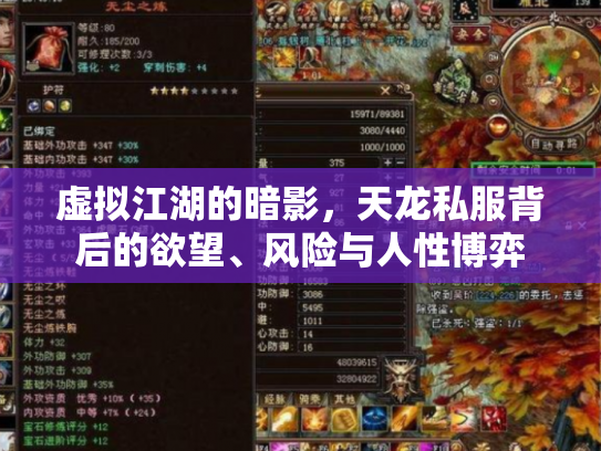 虚拟江湖的暗影，天龙私服背后的欲望、风险与人性博弈
