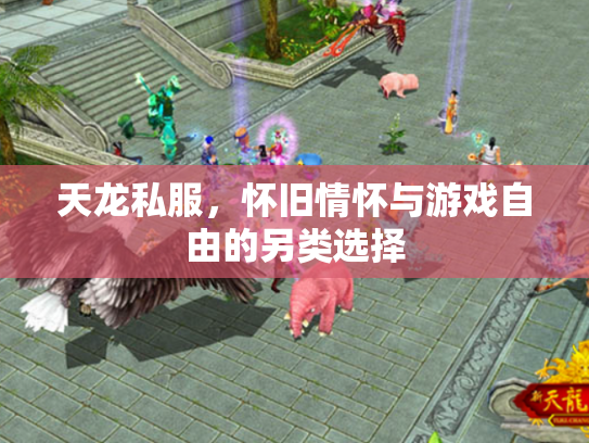 天龙私服，怀旧情怀与游戏自由的另类选择