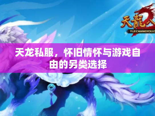 天龙私服，怀旧情怀与游戏自由的另类选择